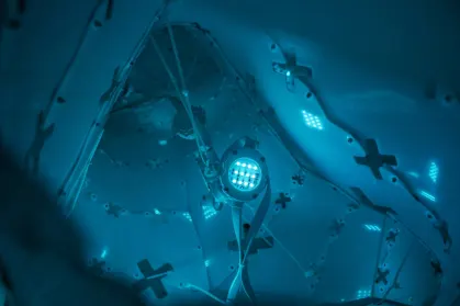 ZodiacBet Casino Application mobile